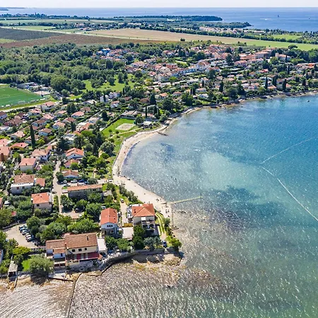 Apartament Rondine *